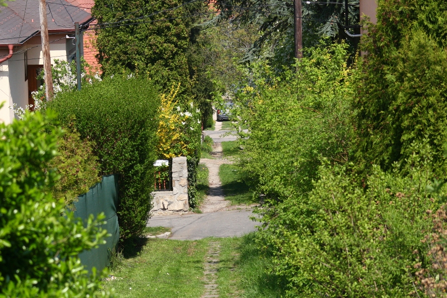Sopron street