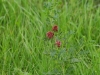 img_6315_1